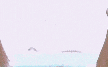 1738951134.gif